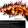 Wings on Fire - Black 01