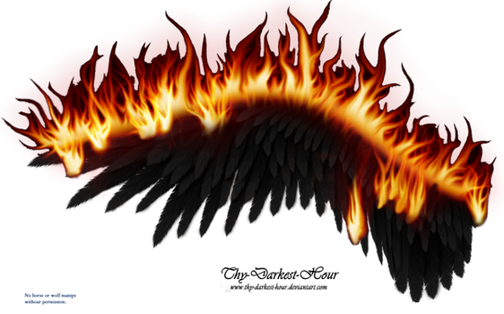 Wings on Fire - Black 02