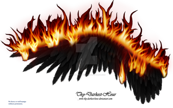 Wings on Fire - Black 02
