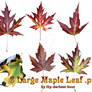 Maple Leaves Pack 1
