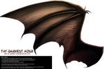 Dragon Wings 02 by Thy-Darkest-Hour
