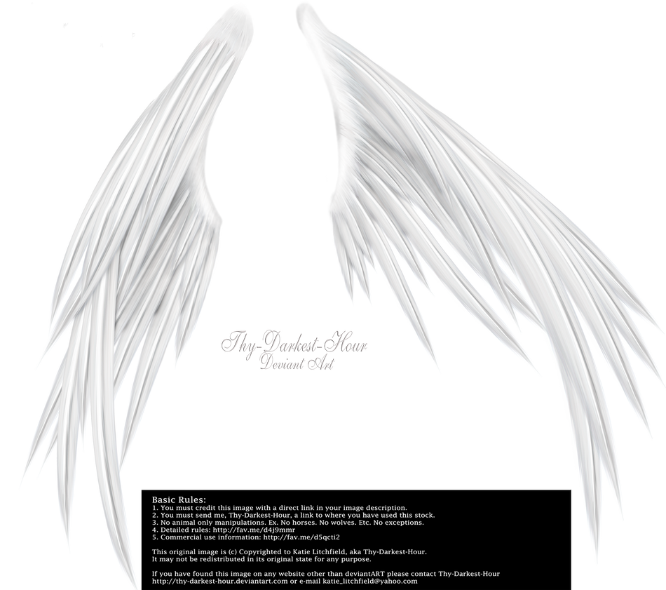Spread Black Wings PNG by Thy-Darkest-Hour on DeviantArt