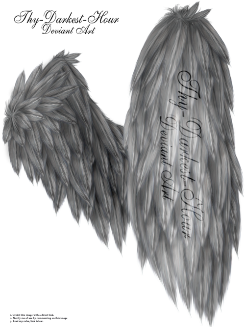 Fluffed Wings 01 - Silver