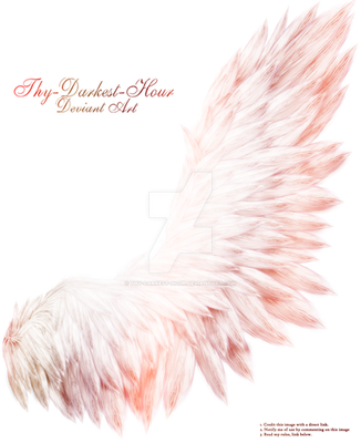 Fluffed Wings 2 - Red Caste