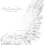Fluffed Wings 2 - White