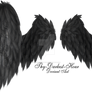 Fluffed Wings - Black