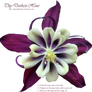 Purple and Cream Colombine PNG