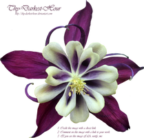Purple and Cream Colombine PNG