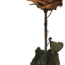 Withered Rose