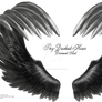 Airbrushed Wings - Silver 01