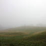 Fields of Fog 01