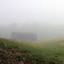 Fields of Fog 02