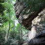 Coopers Rock 01