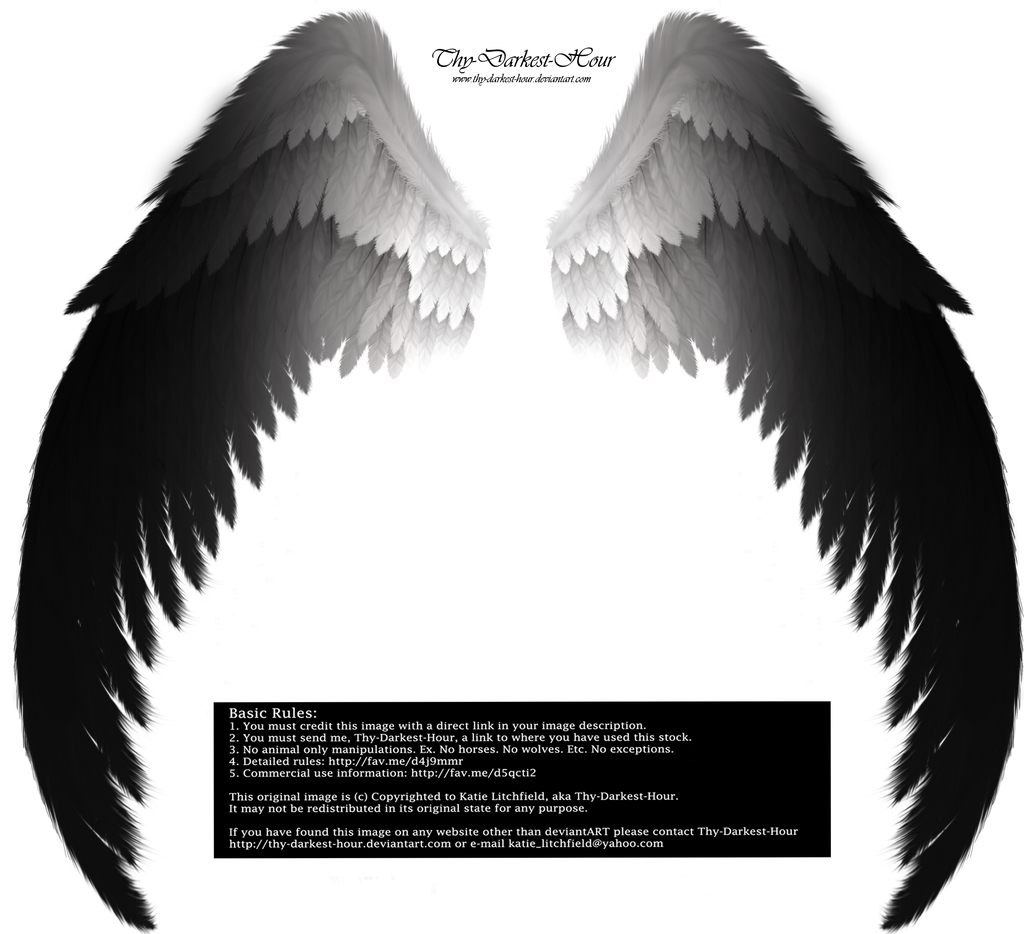 Arch Angel Wings - Smooth Transition