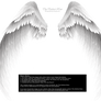 Arch Angel Wings - Silver-White