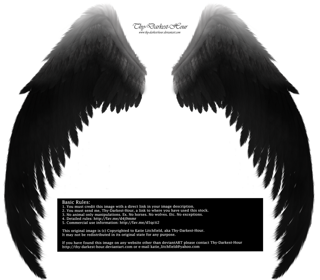 Arch Angel Wings - Silver-Black