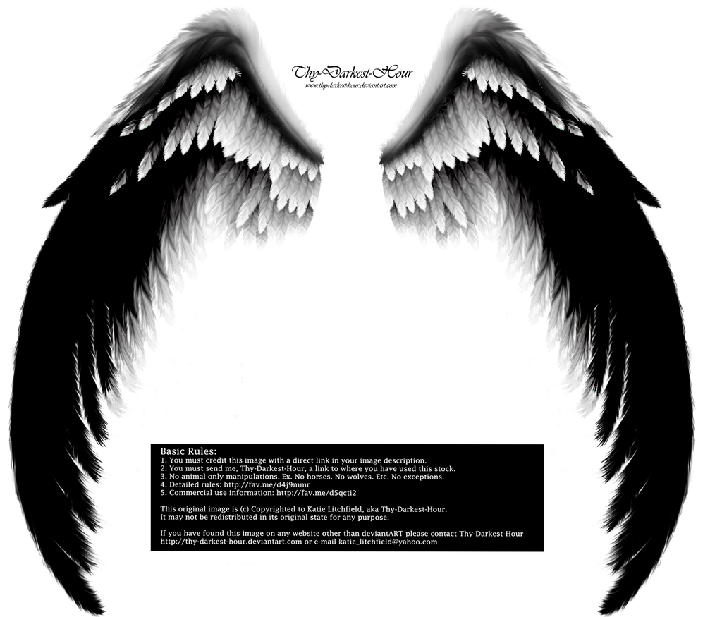 Arch Angel Wings - Rough Transition