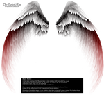 Arch Angel Wings - Red Tinge