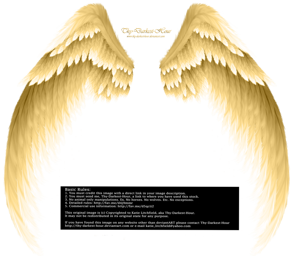 Arch Angel Wings - Golden
