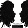 Frill and Fluff Wings - Black