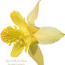 Yellow Colombine PNG