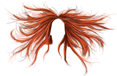 Phoenix Hair - PNG