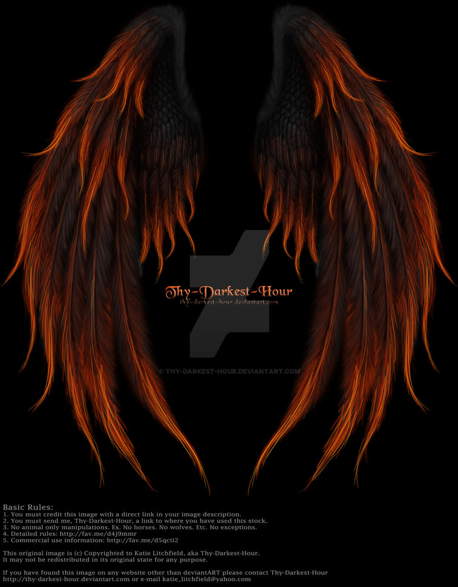 Winged Fantasy V2 - Phoenix Fire PNG PSD