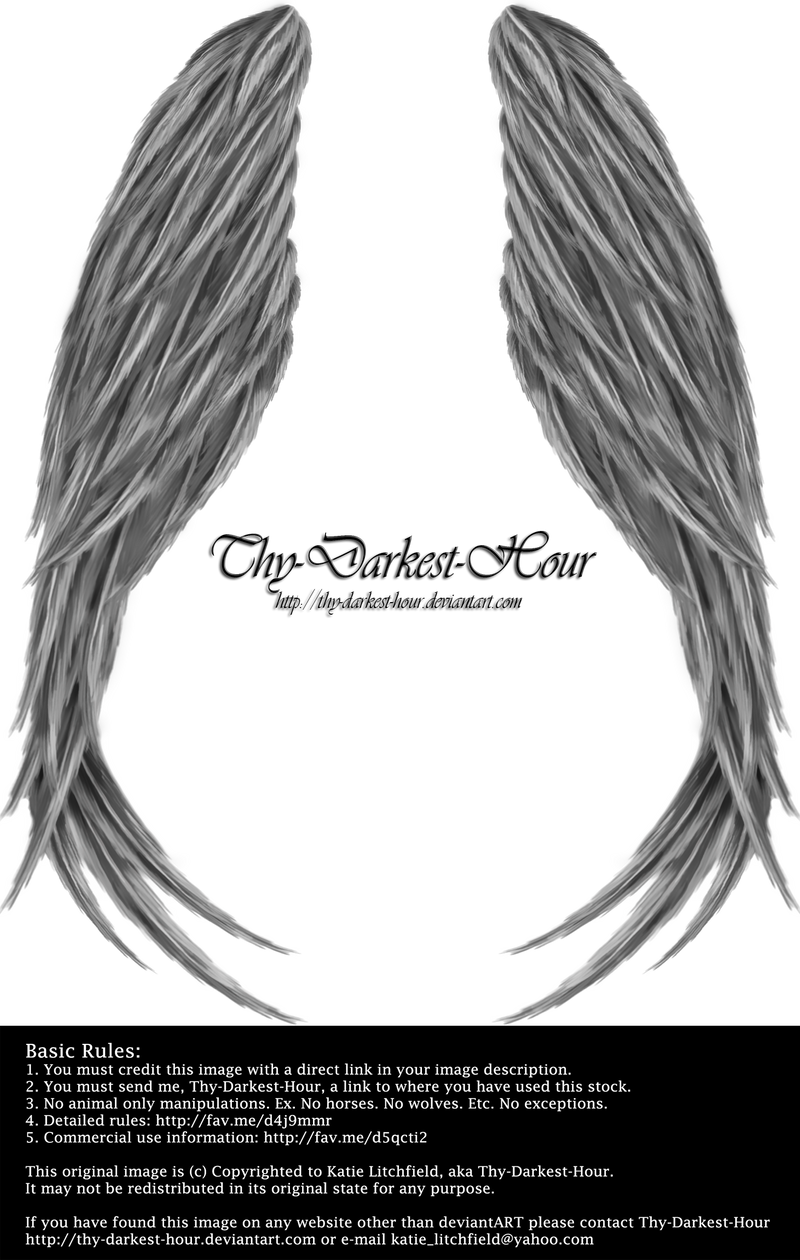 Winged Magic Silver By Thy Darkest Hour On Deviantart