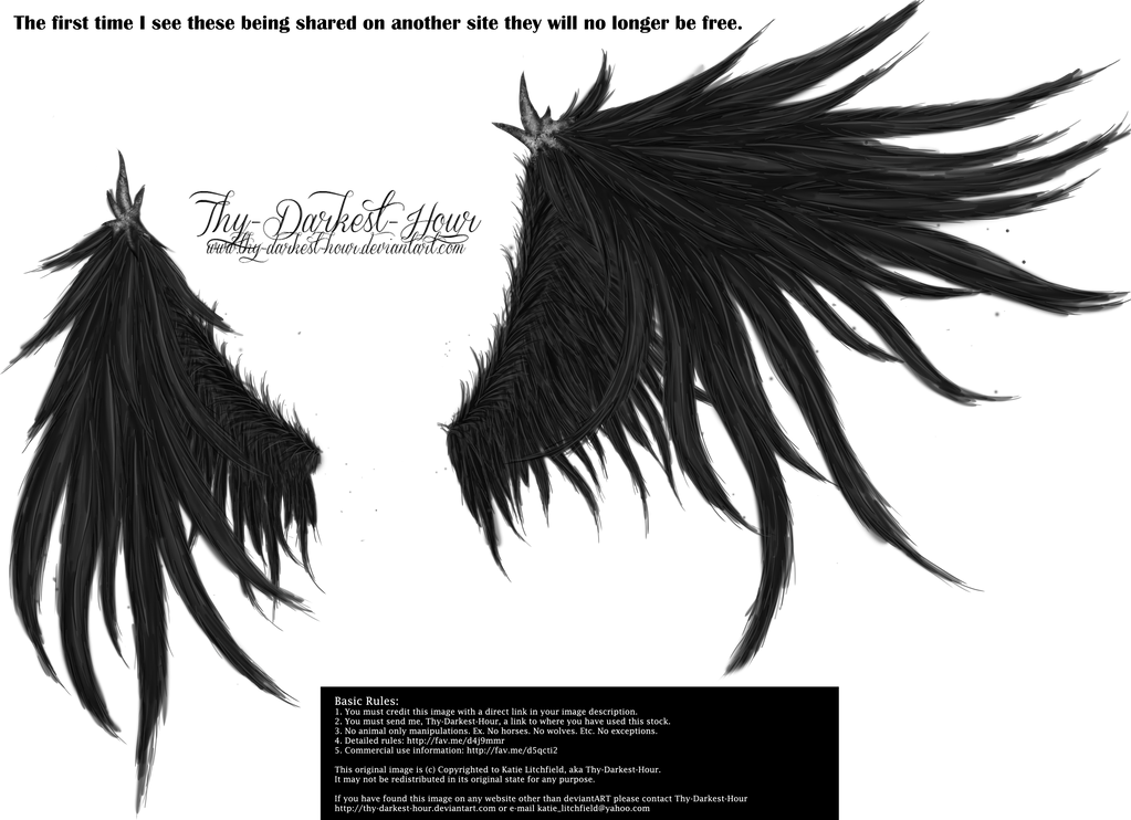 Demon Wings Png Overlay. by lewis4721 on DeviantArt