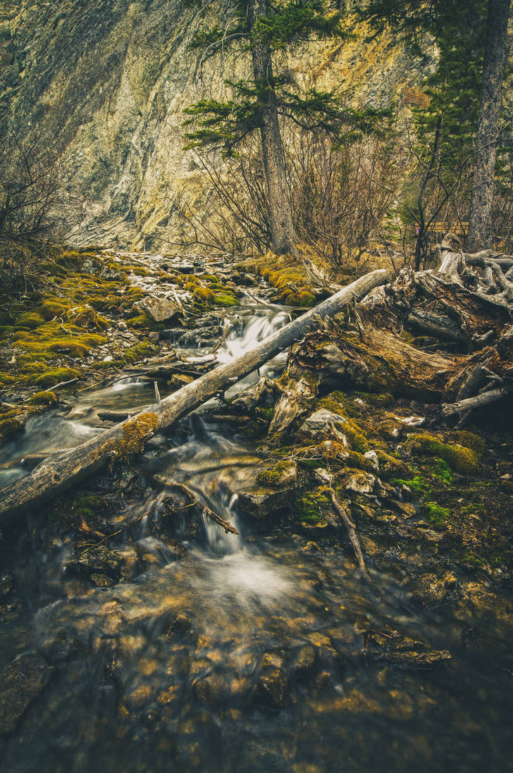 Transparent Stream by Ardak on DeviantArt