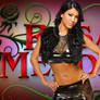WWE Rosa Mendes Background No Logos