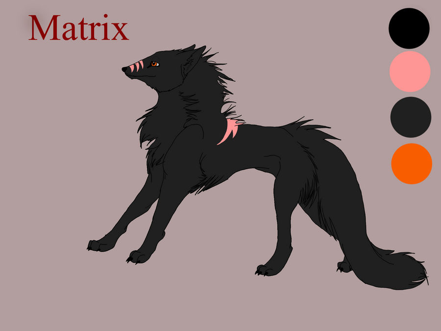 Matrix Reference To Rabbit Matrix Reference Sheet by 3XBooX3 on DeviantArt