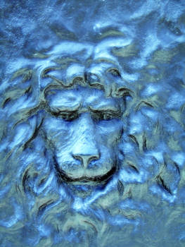 Lion is feeling Blue