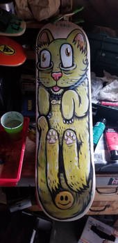 Cat on a skateboard