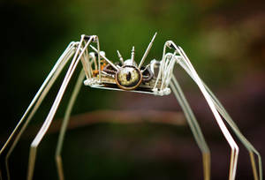 Spider Exterminator by clemcrea Spider Exterminator by clemcrea