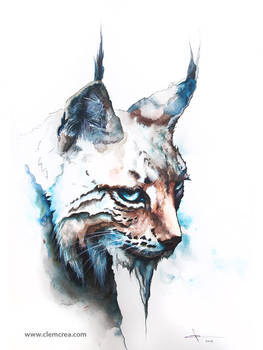 Lynx - Watercolor