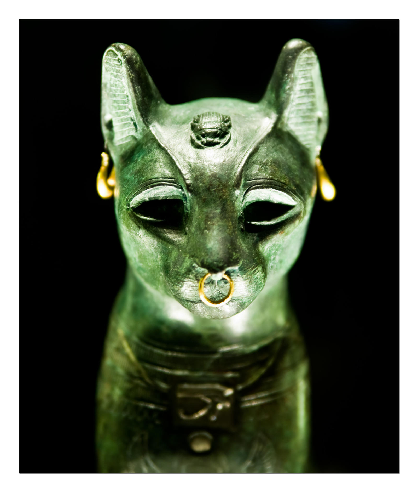 Egyptian Cat