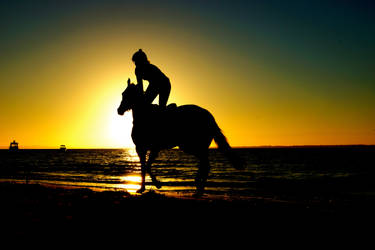 Horse Silhoutte