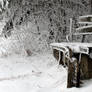 Frozen Bench