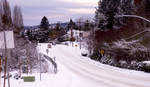 Winter in McMinnville 4 by randomflashbang