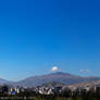 carolina+panecillo