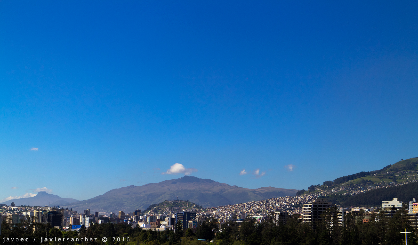 carolina+panecillo