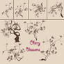 Cherry Blossom Brush Pack (3) (PREVIEW