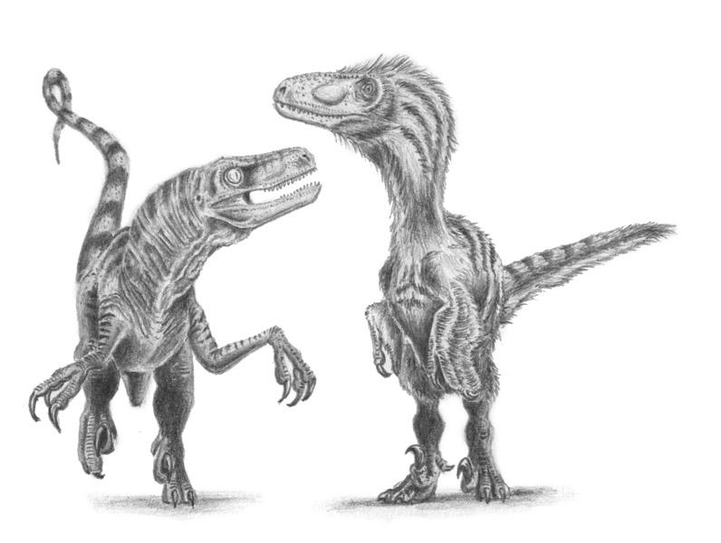 Old raptor vs New raptor by camiloandres on DeviantArt