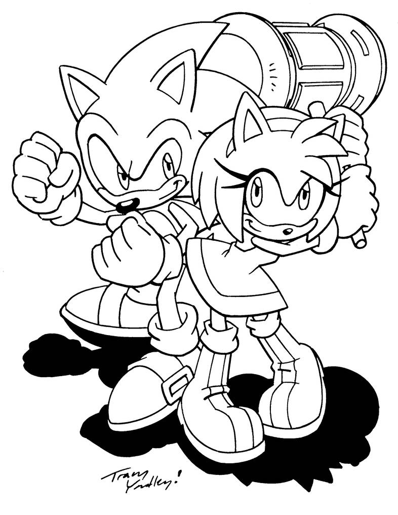 Sonic and Amy by Tracy Yardley! by Gamer101123 on DeviantArt