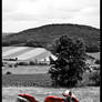 Ducati 1098 - Sin City look 2