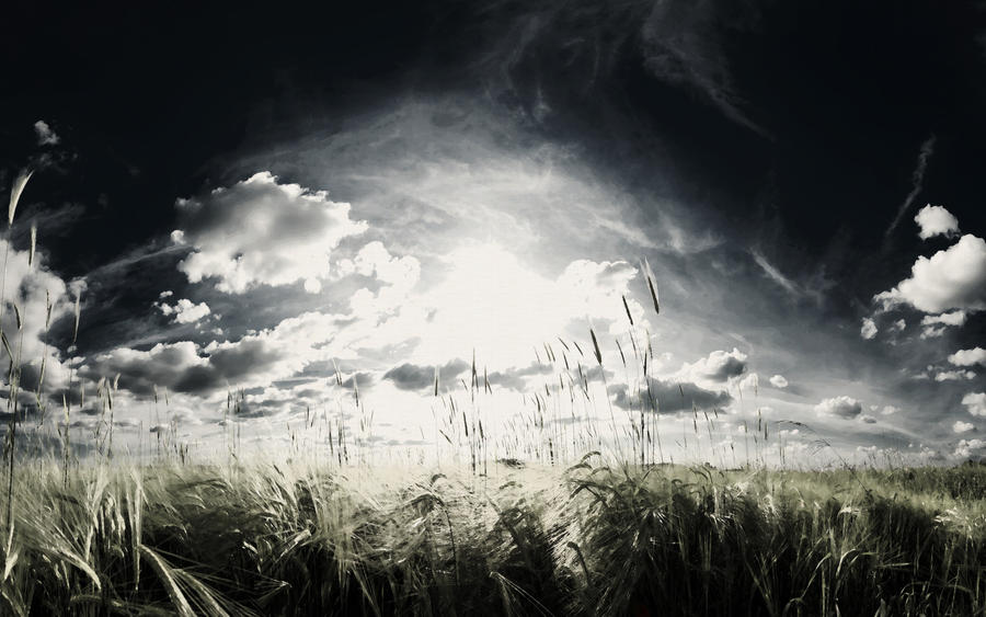 Majestic Skies - Part V