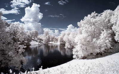 The Pond by myINQI