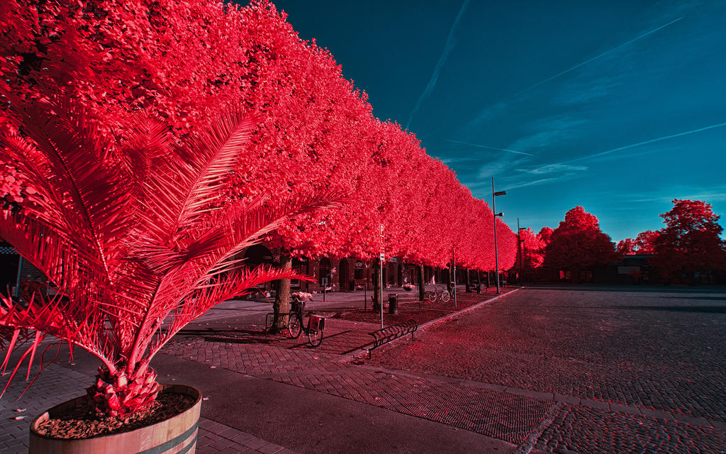 Stadsparken Trelleborg - Ektachrome EIR look by myINQI