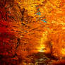 The colors of Autumn - Part II